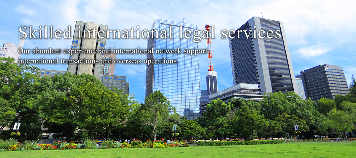 Skilled international legal services