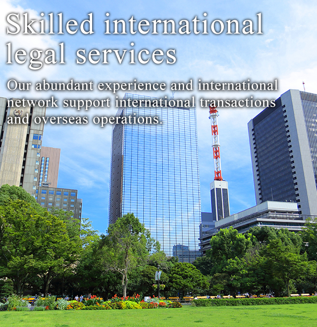 Skilled international legal services